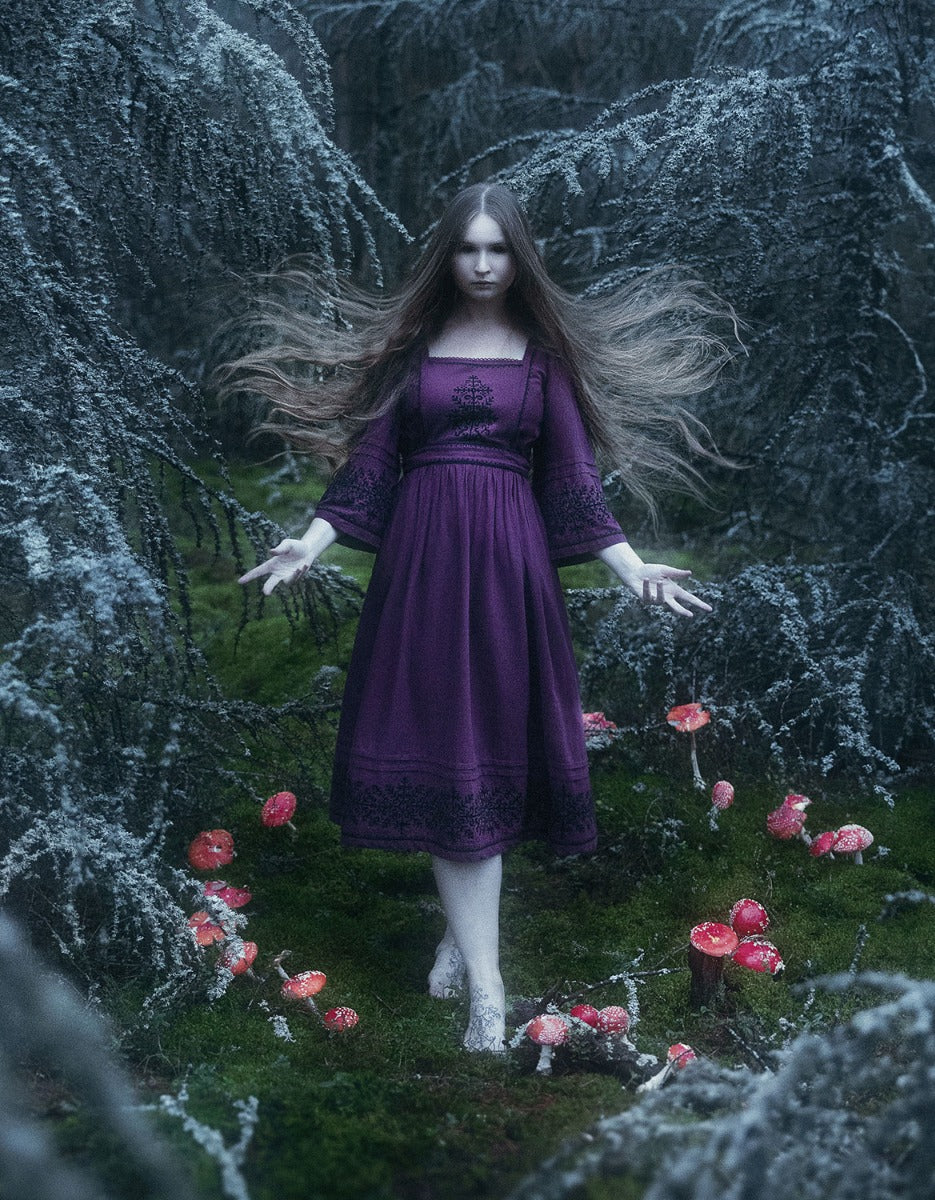 Robe 'Austra' brodée couleur prune