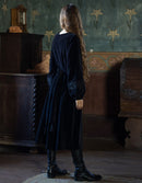"Misha" embroidered black velvet dress